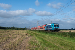 SMM_1904