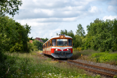SMM_9008