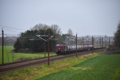 DSC_6695