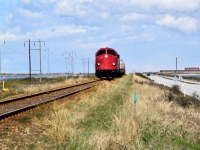 DSC_0128