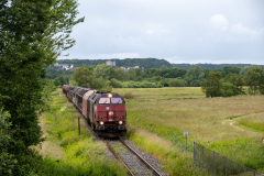 SMM_4558