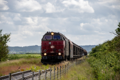 SMM_4574
