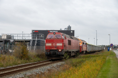 SMM_0735