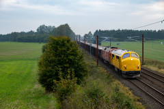 SMM_8847