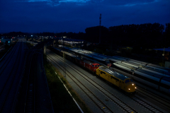 SMM_8884