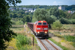 SMM_1500