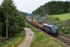 SMM_6513