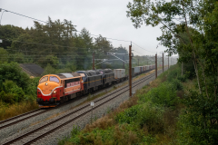 SMM_8481