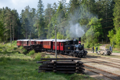 SMM_7459