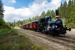 SMM_7462