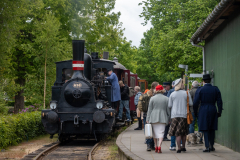 SMM_7537