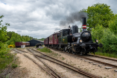 SMM_7556
