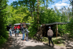 SMM_7689