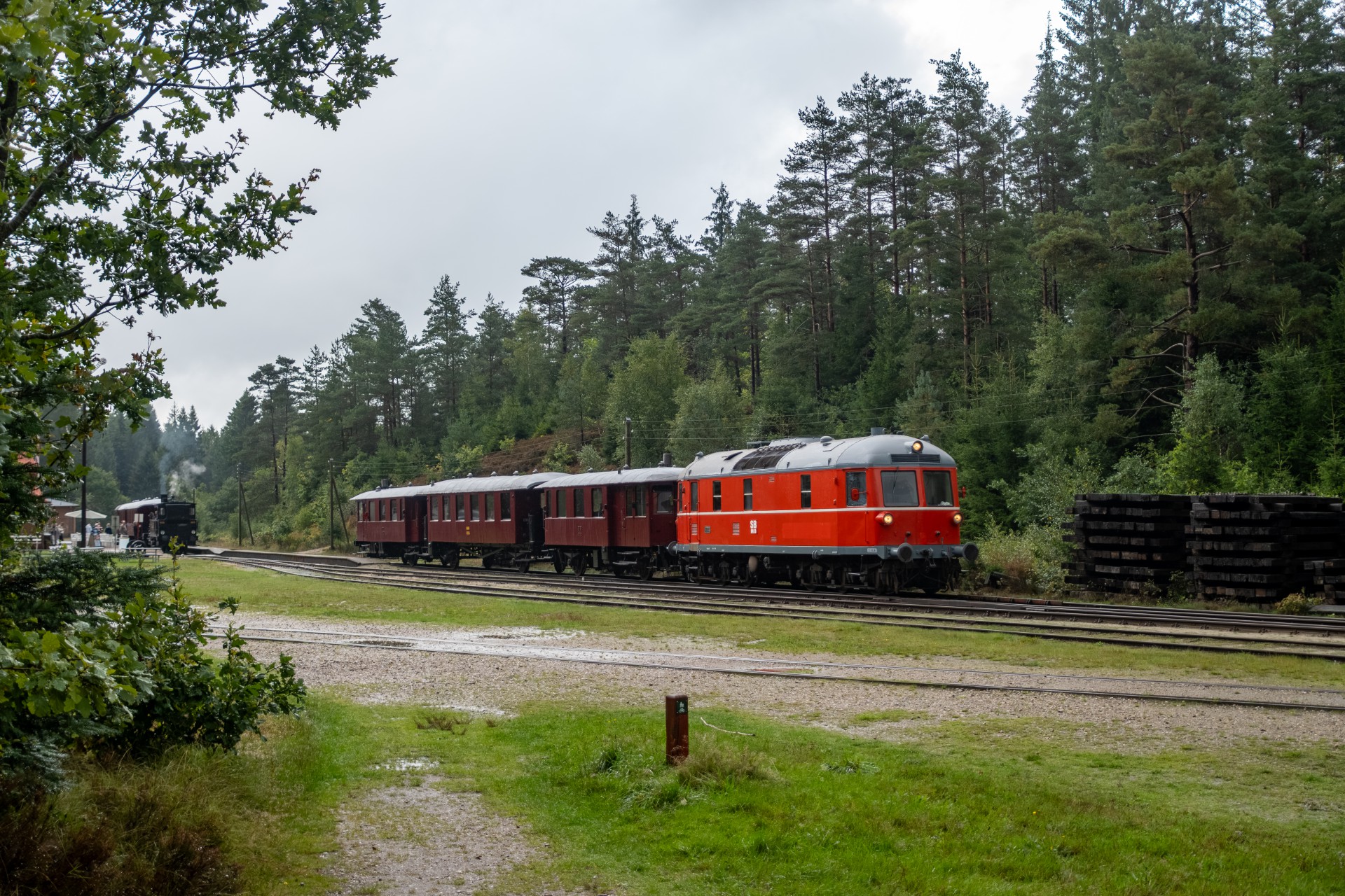 SMM_8688
