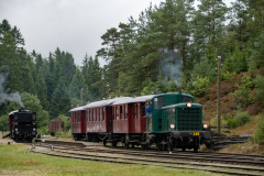 SMM_8646