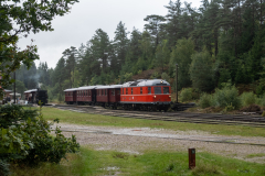SMM_8682