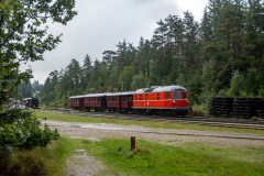 SMM_8688