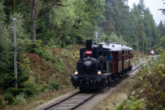 SMM_8698