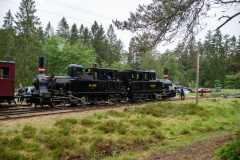 SMM_1702-2