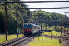 SMM_4625