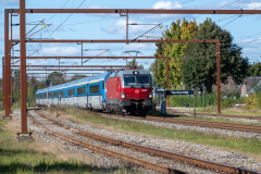 SMM_4636