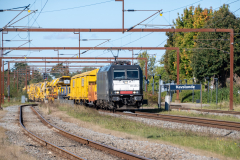 SMM_4656