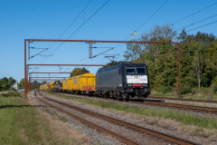 SMM_4661