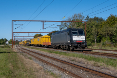 SMM_4662