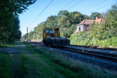 SMM_4674