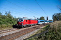 SMM_4705