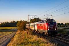 SMM_4820