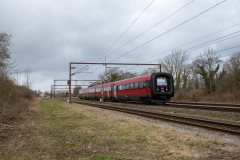 SMM_9953