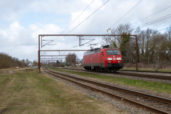 SMM_9988