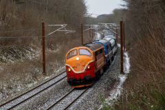 SMM_8554
