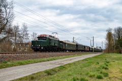 SMM_4951