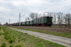 SMM_4953