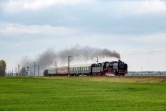 SMM_4991
