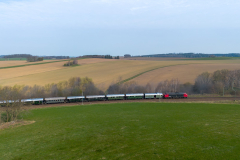 SMM_5361