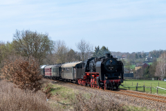 SMM_5479