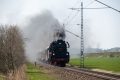 SMM_5523
