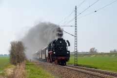 SMM_5527
