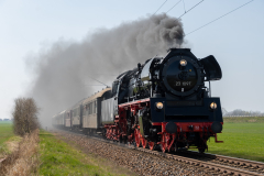 SMM_5532