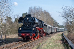 SMM_5561