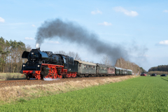 SMM_5589