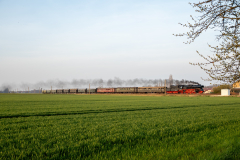 SMM_5616
