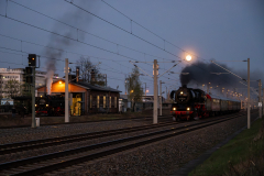 SMM_5664