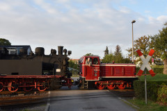 DSC_9648