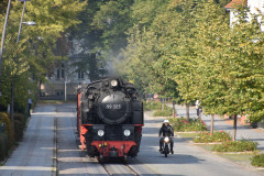 DSC_9992