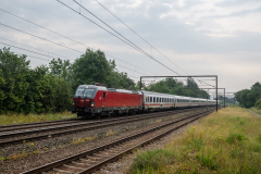 SMM_4934