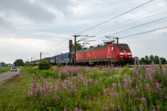 SMM_4942
